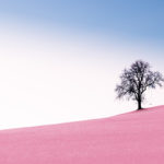 Simplicity
